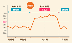 基礎体温表